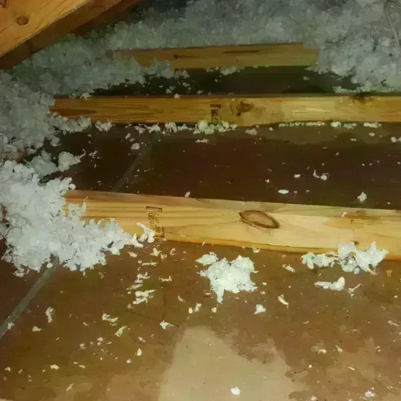 Attic Water Damage in Concordia, KS