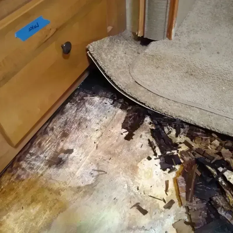 Wood Floor Water Damage in Concordia, KS